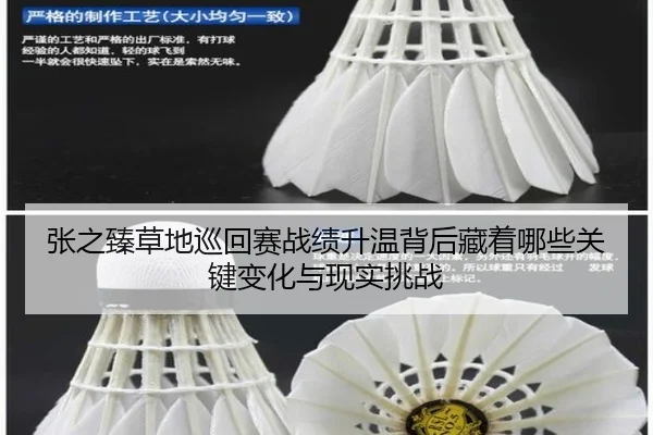 张之臻草地巡回赛战绩升温背后藏着哪些关键变化与现实挑战